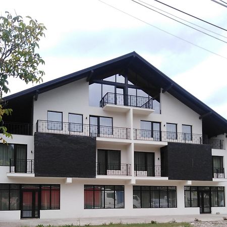Danifeld Inn Voronet Exterior photo